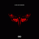 Cover: Lil Wayne - I Am Not A Human Being II