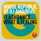 House Republic vs. DJ Amadeus – Flashdance... What A Feeling
