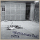 Cover: Cäthe - Verschollenes Tier