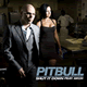 Pitbull feat. Akon – Shut It Down