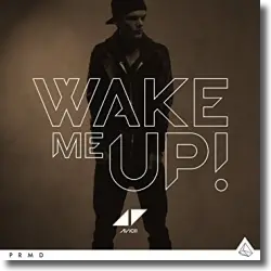 Cover: Avicii feat. Aloe Blacc - Wake Me Up