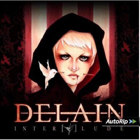 Cover Platz 11