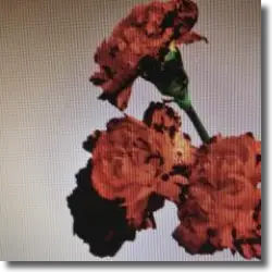Cover: John Legend - Made To Love