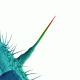 Cover: Peter Gabriel - And I'll Scrach Yours