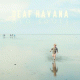 Cover: Deaf Havana - Old Souls