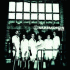 Cover: Rammstein - Haifisch