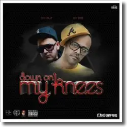 Cover: Baby Brown feat. DJ Rasimcan - Down On My Knees