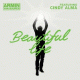 Armin van Buuren feat. Cindy Alma – Beautiful Life