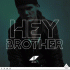 Cover: Avicii - Hey Brother