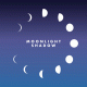 Cover: Maggie Reilly - Moonlight Shadow