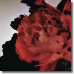 Cover: John Legend - All Of Me