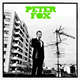 Cover: Peter Fox - Stadtaffe