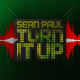 Cover: Sean Paul - Turn It Up