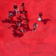 Cover: Moop Mama - Das rote Album
