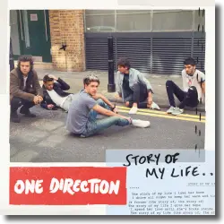 Cover: One Direction - Story Of My Life