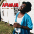 Cover: Afroman - Because I Got High