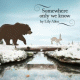 Cover: Lily Allen - Somewhere Only We Know
