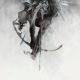 Cover Platz 3