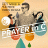 Cover: Lilly Wood & The Prick and Robin Schulz - Prayer In C (Robin Schulz Remix)