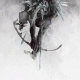 Cover Platz 24