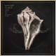 Cover: Robert Plant - Lullaby and... The Ceaseless Roar