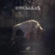 Cover Platz 6