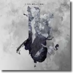 Cover: Linkin Park - Final Masquerade