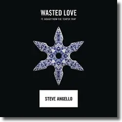 Cover: Steve Angello feat. Dougy - Wasted Love