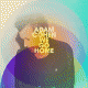 Cover: Adam Cohen - We Go Home