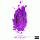 Cover Platz 11