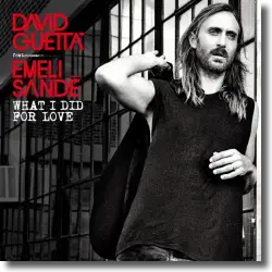 Cover: David Guetta feat. Emeli Sandé - What I Did For Love