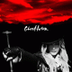 Cover Platz 81