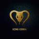 Yves V vs. Don Diablo – King Cobra