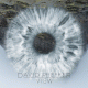 Cover: David Pfeffer - View