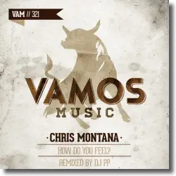 Cover: Chris Montana - How Do You Feel