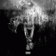 Cover: Big Sean - Dark Sky Paradise