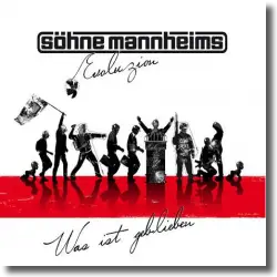 Cover: Söhne Mannheims - Was ist geblieben