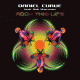 Cover: Daniel Curve feat. Rob Sherman - Rock This Life