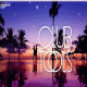 Cover: Lost Frequencies - Are You With Me (Gestört aber GeiL Remix)