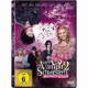 Cover Platz 19