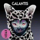 Cover Platz 12