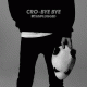 Cover: Cro - Bye Bye (MTV Unplugged)