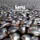 Cover: Lenz - Gedankenfetzen