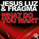 Jesus Luz & Fragma – What Do You Want
