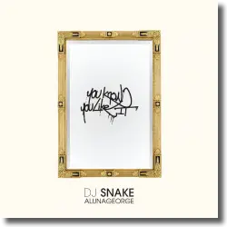 Cover: DJ Snake & AlunaGeorge - You Know You Like It