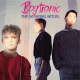 Cover: Boytronic - The Working Model (Deluxe Edition)