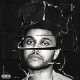 Cover Platz 7