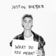 Cover: Justin Bieber - What Do You Mean?