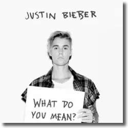 Cover: Justin Bieber - What Do You Mean?