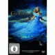 Cover Platz 16